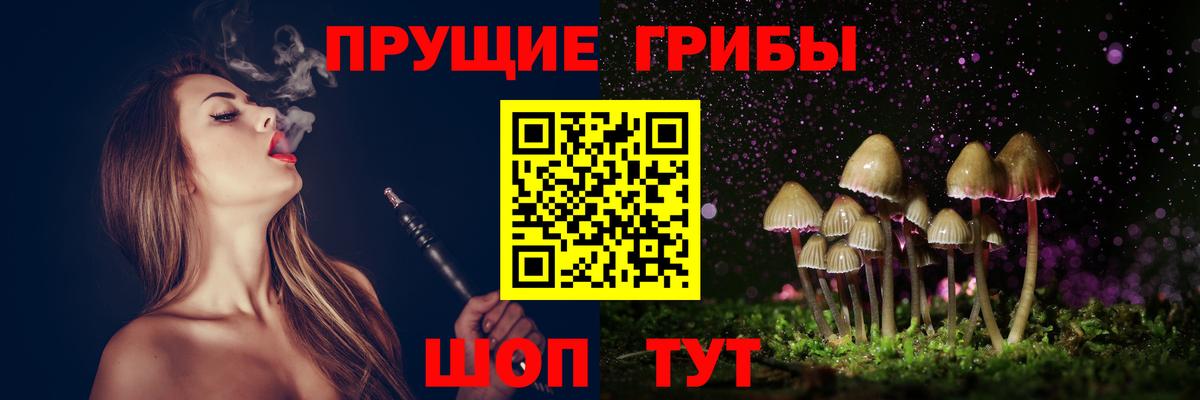 Вичуга  Галлюциногенные грибы Psilocybe  купить наркотик  Псилоцибиновые грибы мухоморы  Вход с VPN 